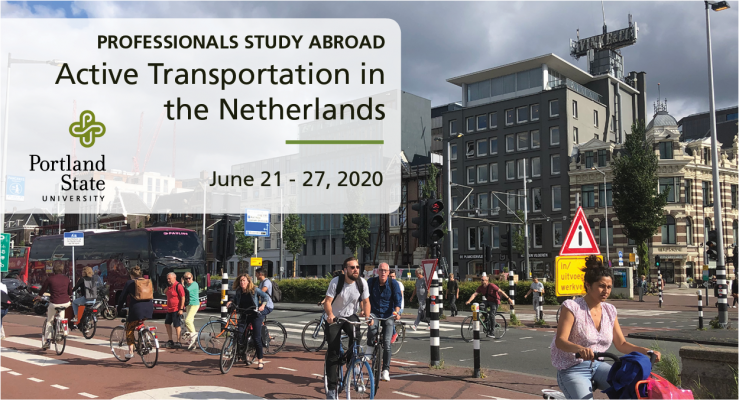 2020 Netherlands Study Abroad Banner - PROFESSIONALS.png