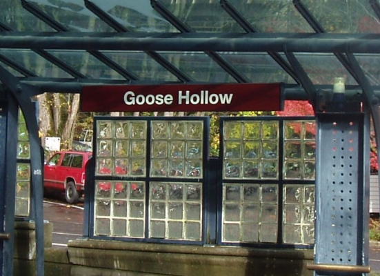 Goose_Hollow_0.jpg