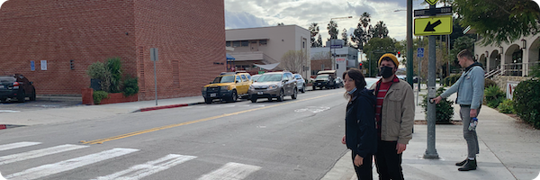 NITC Anniversary Page Header - Pedestrian.png