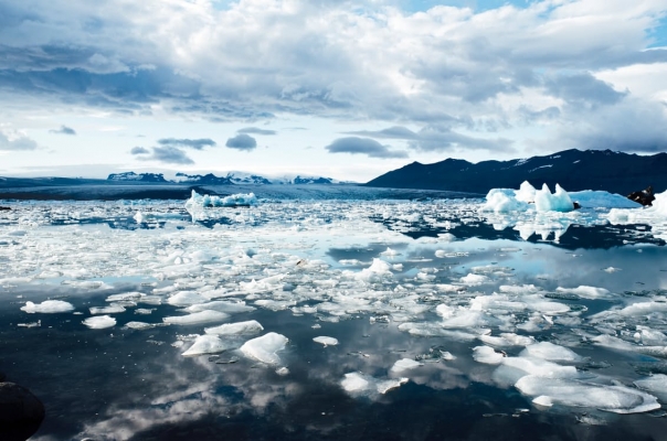 climate change.jpg